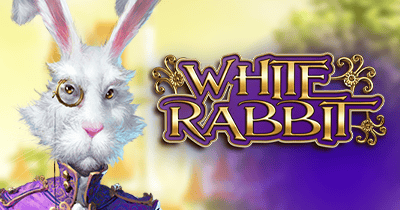 White Rabbit at Vsaď a Hrej